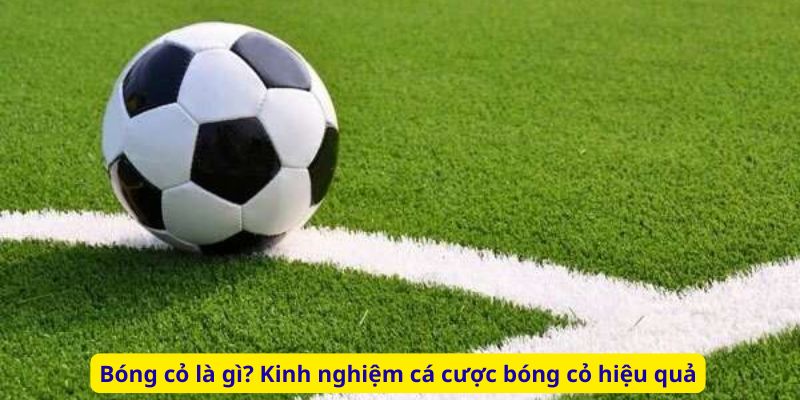 Bóng cỏ là gì? Kinh nghiệm cá cược bóng cỏ hiệu quả